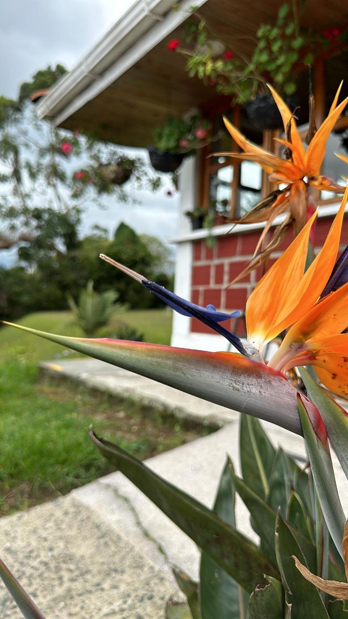 El Manzano  芬卡拉托斯卡纳旅馆酒店 外观 照片